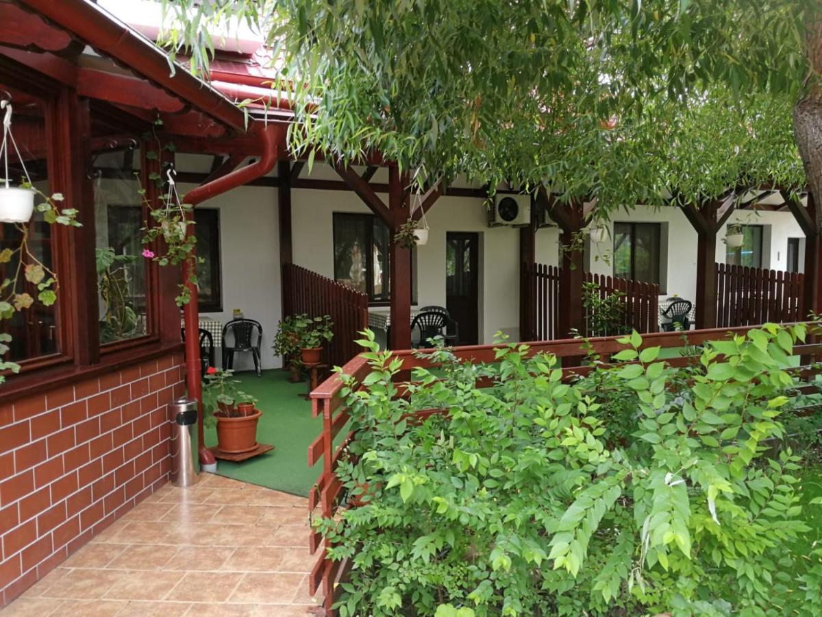 Pensiunea Casa Matei Berca Dış mekan fotoğraf